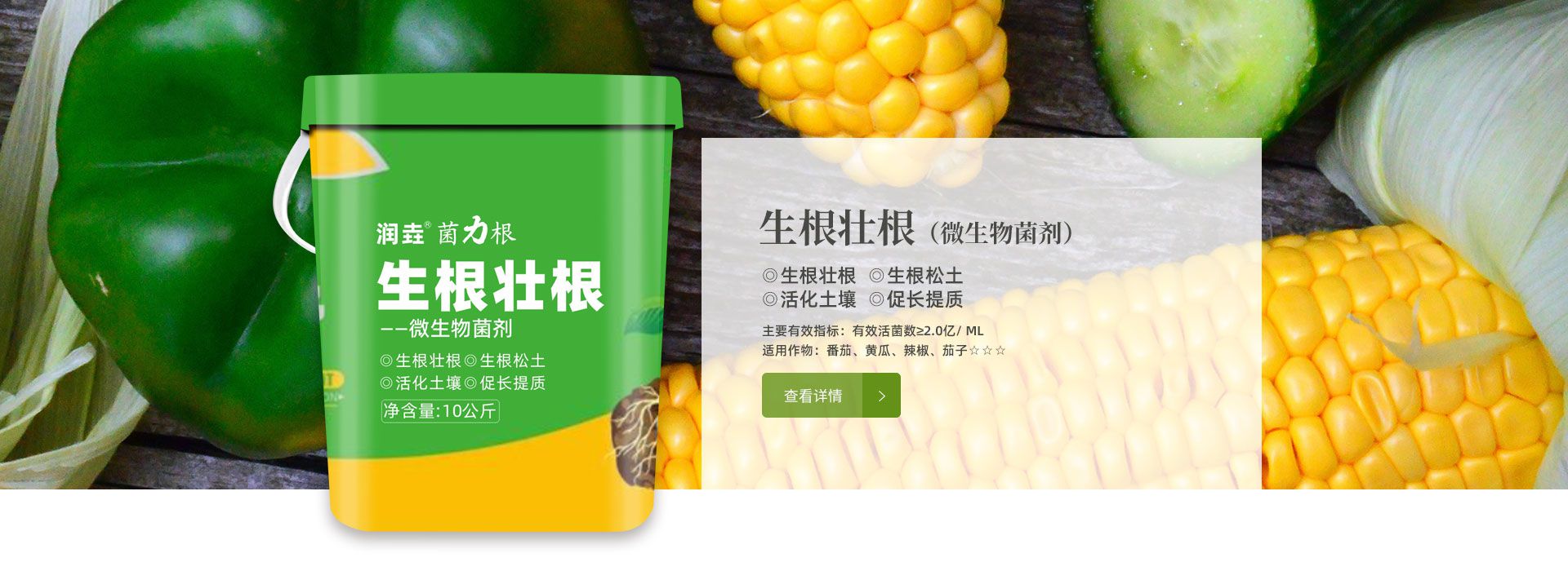生根壮根