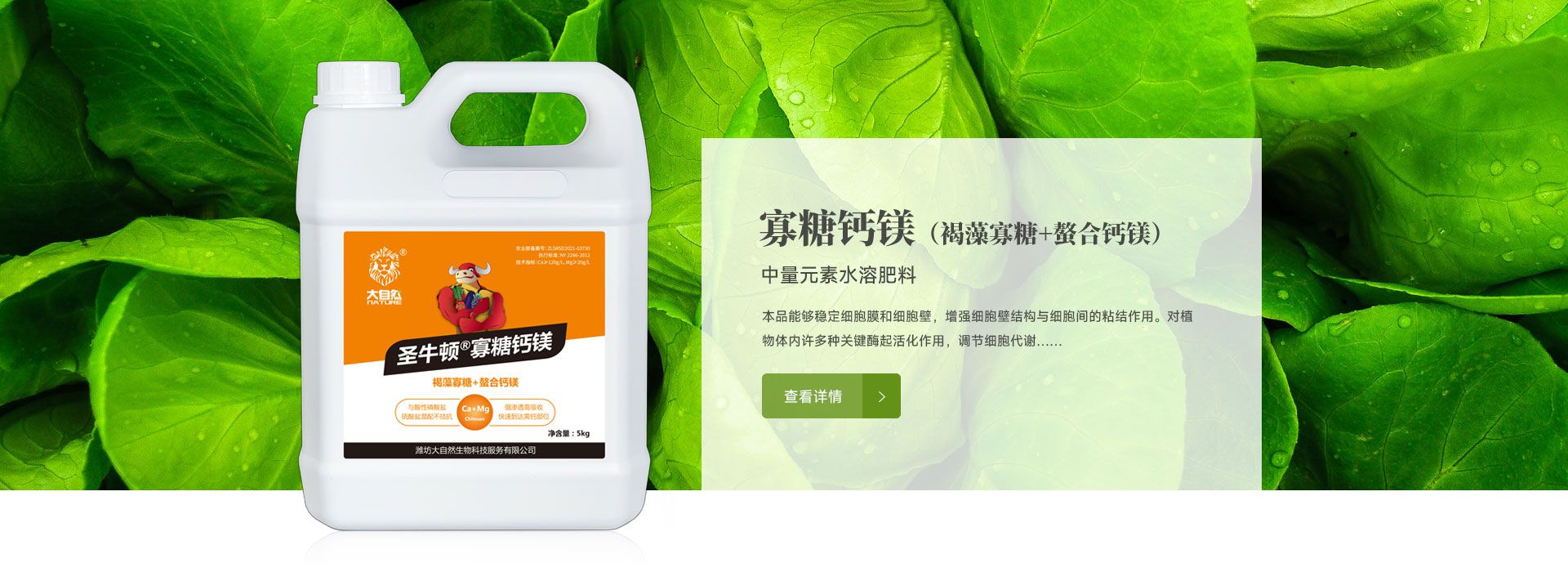 圣牛顿寡糖钙镁