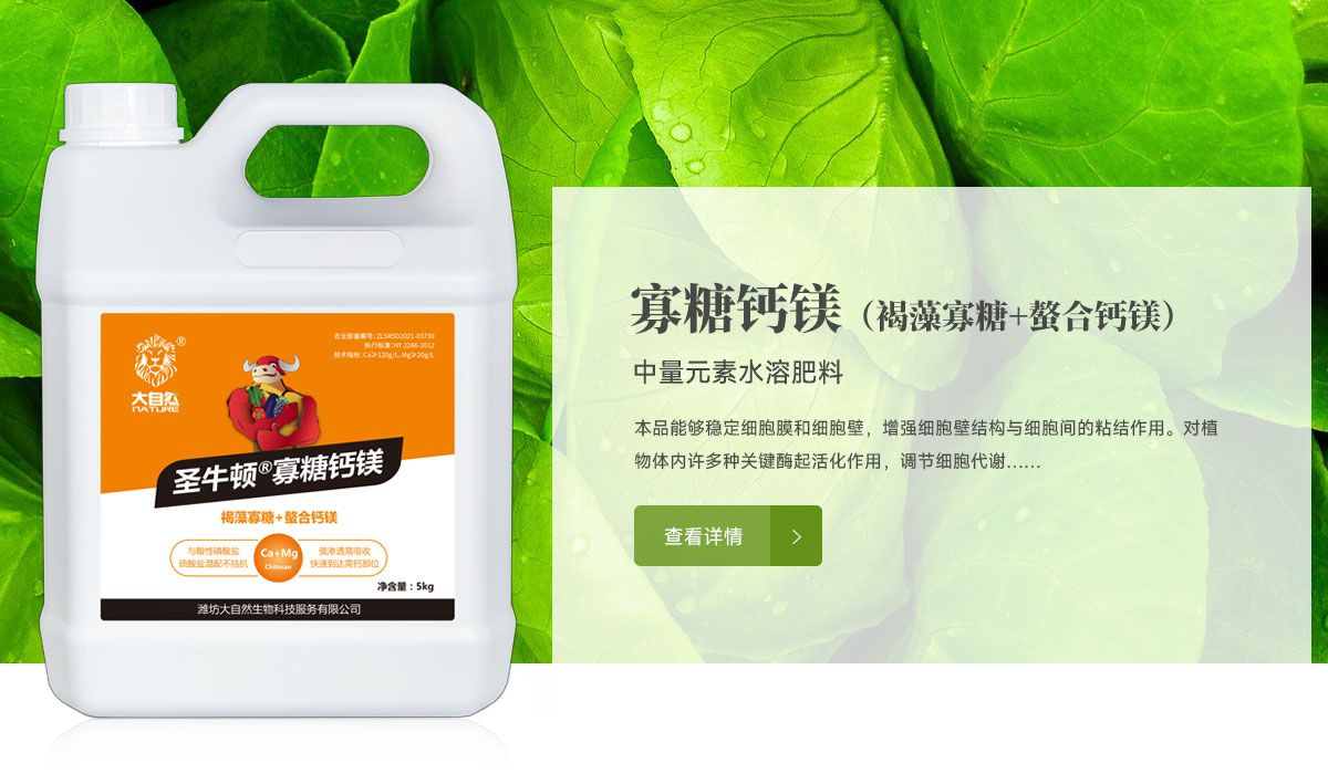 圣牛顿寡糖钙镁